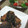 きょんこっこ's cooksnap of when they made さんまの蒲焼き.