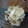 K/S's cooksnap of when they made いかときのこのマリネ.