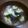 にゃんこう先生's cooksnap of when they made 簡単　ふわふわ卵のワカメスープ.