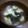 にゃんこう先生's cooksnap of when they made 簡単　ふわふわ卵のワカメスープ.