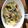 TATOCO's cooksnap of when they made ❁キノコの和風スパゲッティ.