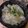 カバゴン's cooksnap of when they made 間違いなし！の水餃子★.