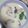 ばむたろう's cooksnap of when they made みんなでワイワイ　ドンブリの茶碗蒸し.