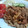 pinkapinka's cooksnap of when they made ガツガツ食べるうちの♥♡しょうが焼き。.