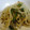 でびさや's cooksnap of when they made めっちゃ簡単　もやしピーマン炒め.