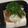 ＊まめゴマ＊'s cooksnap of when they made 温奴でも冷奴でも！大葉おろし豆腐.