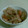 こたごんまま's cooksnap of when they made しっかりしみてる～筑前煮.