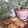 teddynancy's cooksnap of when they made ショートブレッド.