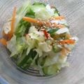 oBsession's cooksnap of when they made 袋で作るキャベツの浅漬け.