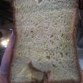 とりぷれっつmom's cooksnap of when they made ＨＢ＊にんじんパン＊.