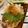 ねみねみ's cooksnap of when they made メイン簡単☆豚こま和風ハンバーグステーキ.