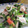 pa0pa0's cooksnap of when they made ササミとセロリの梅和え.