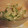いちはな's cooksnap of when they made ゴーヤのツナマヨ和え.