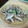 SEKOTAN's cooksnap of when they made たっぷりきのこ炒め。白ワイン風.