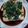 yurian21's cooksnap of when they made パクチー豆腐☆.