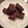 ☆Qoomie☆'s cooksnap of when they made チョコラスク.