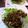 Galão's cooksnap of when they made まいたけと牛挽肉の丼.