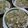 mogu705's cooksnap of when they made 男前な麻婆豆腐.