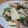 カヨ２８'s cooksnap of when they made ＊長いものバターコンソメ炒め＊.