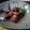michelley's cooksnap of when they made 砂肝の煮物.