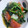 chibota's cooksnap of when they made ほうれん草とトマトのさっぱりにんにく炒め.