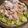 ひっこ's cooksnap of when they made きゅうりをピーラーでヒラヒラ～サラダ.