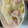 あゆたっくん's cooksnap of when they made やさしい◎白菜のクリーム煮.