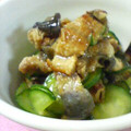 ako213's cooksnap of when they made 簡単すし酢deうざく（胡瓜と鰻の酢の物）.