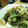 Ｋazu's cooksnap of when they made 小松菜とキノコの中華炒め♪.