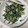 juntonmo's cooksnap of when they made 簡単！ほうれん草とひじきのサラダ.
