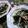 ダビデ's cooksnap of when they made 超特急！わかめの中華風お浸し！.