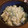 manana♪'s cooksnap of when they made セロリの葉の梅マヨネーズ和え.