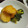 shimaru's cooksnap of when they made 小粒新じゃがいもの煮ころがし.
