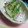 ＴＯＭＯＷＡＴ's cooksnap of when they made さっぱり☆小鯛の笹漬けおろしあえ.