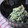 kazz72's cooksnap of when they made ほうれんそうゴマヨ和え。.