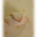 mariniko's cooksnap of when they made 可愛いクロワッサン型クッキー♪.