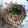 meiのﾏﾏ's cooksnap of when they made しらたきの中華風炒め♪.