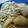 maruru-nn's cooksnap of when they made 里芋と牛蒡でちょっとお月見気分？.