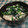 chokomi513's cooksnap of when they made 簡単ほうれん草の白和え♪.
