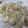 miyuki12's cooksnap of when they made きのこと豚肉の中華炒め.