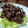しろくまラッコ's cooksnap of when they made 大人味☆牛肉のわさび風味焼肉♪.