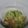 テンてん's cooksnap of when they made カレー風味のキャベツサラダ.