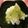 るらちゃん's cooksnap of when they made 便秘解消★アイスの抹茶かけ.