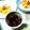 うたかた。's cooksnap of when they made しいたけだけ☆うま過ぎ佃煮.