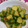 しーな☆彡's cooksnap of when they made 簡単!!早い!!胡瓜の生姜醤油和え★.