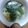 おニャン子まど's cooksnap of when they made 簡単！卵とわかめの中華スープ.