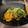 政志っす's cooksnap of when they made 豆苗とたまごのオイスターソース炒め.