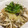 papikun's cooksnap of when they made さっぱり■きのこのおろし和え■.