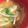 濃厚旨ミルク's cooksnap of when they made 切り干し大根の味噌汁.