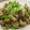 momokoUSA's cooksnap of when they made 鶏肉ときのこのしょうゆマヨ炒め.
